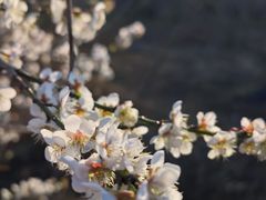 -广州市流溪河国家森林公园