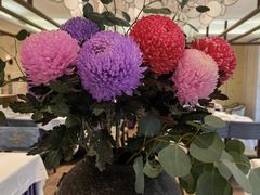 -西湖春天•老字号杭州菜(百汇店)