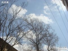 下午好天气~-一大糕点(纬六路店)