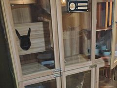 -白兔子密室(长寿路店)