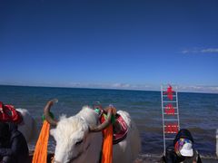 -青海湖国家重点风景名胜区