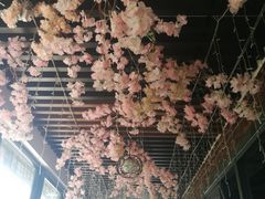 -每食每刻·皖北新民地锅鸡