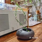 欢迎来我老家玩 Q安利的上海宝藏咖啡店