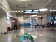 -厦门高崎国际机场-T3航站楼