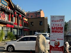 -老山东·山东菜(鲁菜名店)