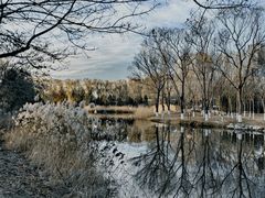 -大兴滨河森林公园