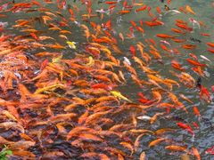 -楠溪江风景名胜区