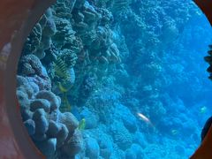 -海合安青岛极地海洋公园