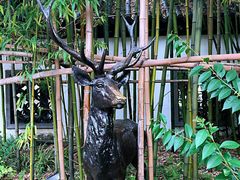 -龙潭水乡