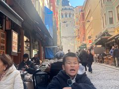 -加拉达石塔