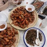 半价活动虾虾🦞🦞🦞