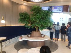 大堂-CoCo都可(中联广场店)