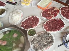 -乌记鲜活牛肉城(金砂东路店)