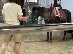 -李振强马术运动推广中心(南城店)