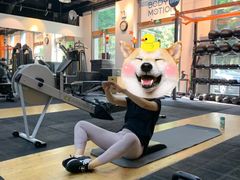 -BiM综合体能训练中心(漕河泾绿洲馆)