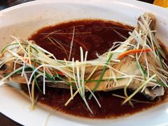 清蒸金枪鱼鱼脖-蟹之国·精品蟹料理(极地店)