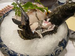 石斑鱼-红鼎豆捞(临江大道店)