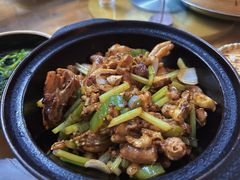 煎焗鸡-和记菜馆