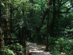 -青城山