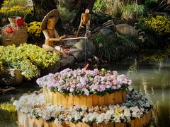 -上海共青森林公园