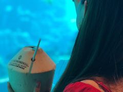 -海棠湾洲际-涛·海底餐厅·美人鱼·自助餐·海底隧道