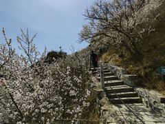 -北京凤凰岭