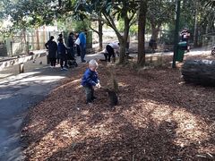 -费瑟代尔野生动物园