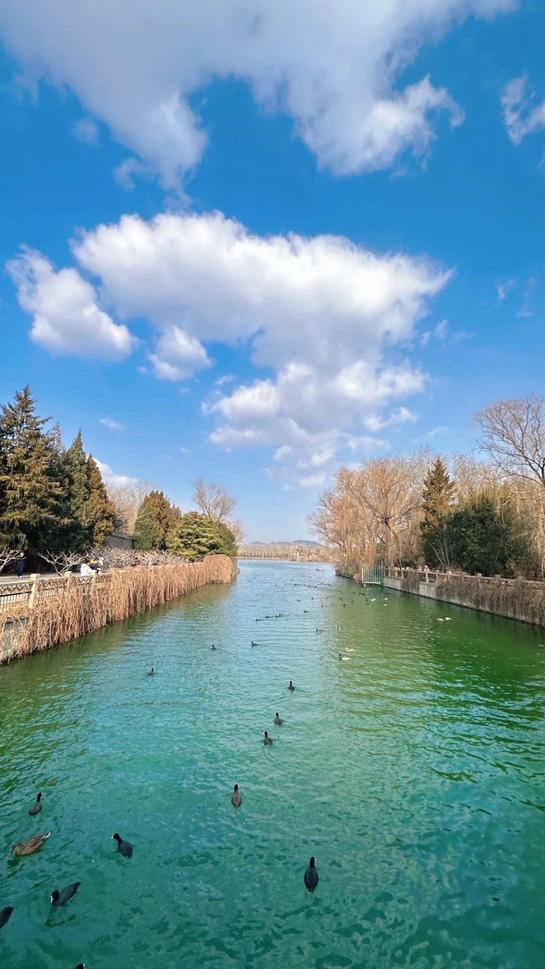 碧水蓝天,阳光明媚🌞