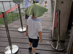 -荷塘月色湿地公园·向阳花洲