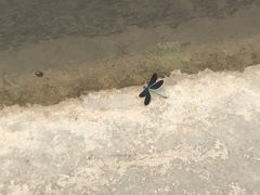 -野三坡清泉山风景区