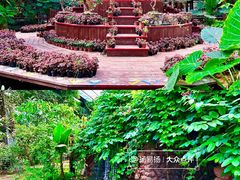 -呀路古热带植物园