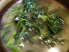 -大众餐馆(植物园美食街店)