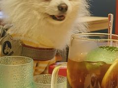 -鱼酷活鱼烤鱼(雨花客厅店)