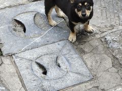-高淳老街