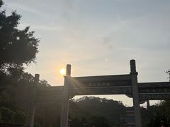 -南沙蒲洲花园