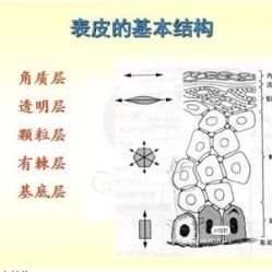 -海茱雅科技健康美容