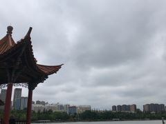 -洛龙公园