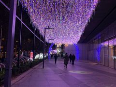 -双井轩(双井店)