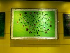 -上海昆虫博物馆