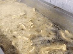 -老李村脂渣(团岛农贸市场店)