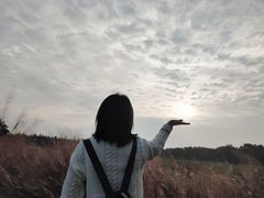 -艾溪湖湿地公园
