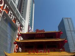 -越秀西湖花市(广州城市广场花卉店)
