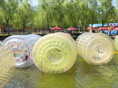 -朝阳公园游乐园