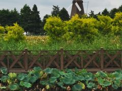 -漩门湾国家湿地公园