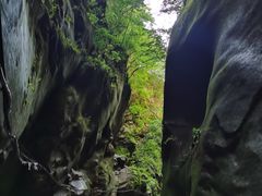 -黑河国家森林公园