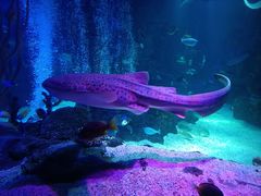 -沈阳海洋探索中心