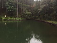 -四明山国家森林公园