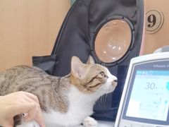 -联合动物医院(光谷诊疗中心)