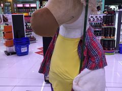 -西沃古尔·拉姆古兰爵士国际机场