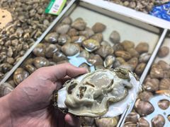 -马栏广场(地铁站)